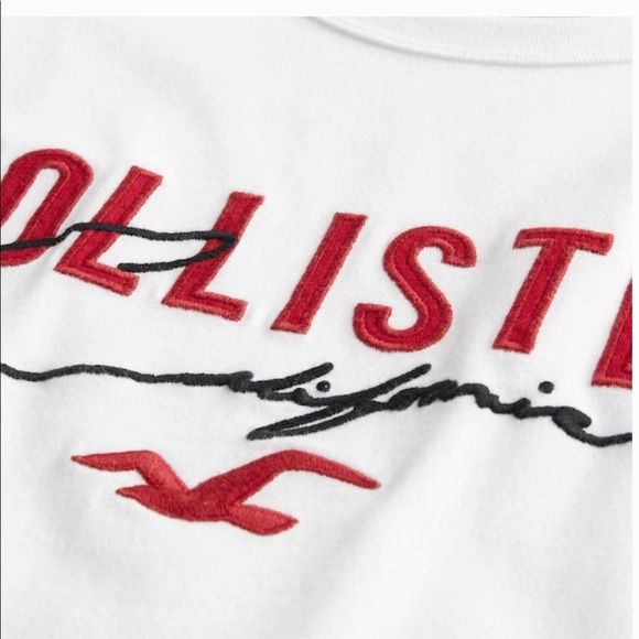 HOLLISTER - Men’s Appliqué Logo Graphic Tee - Picture 2 of 4